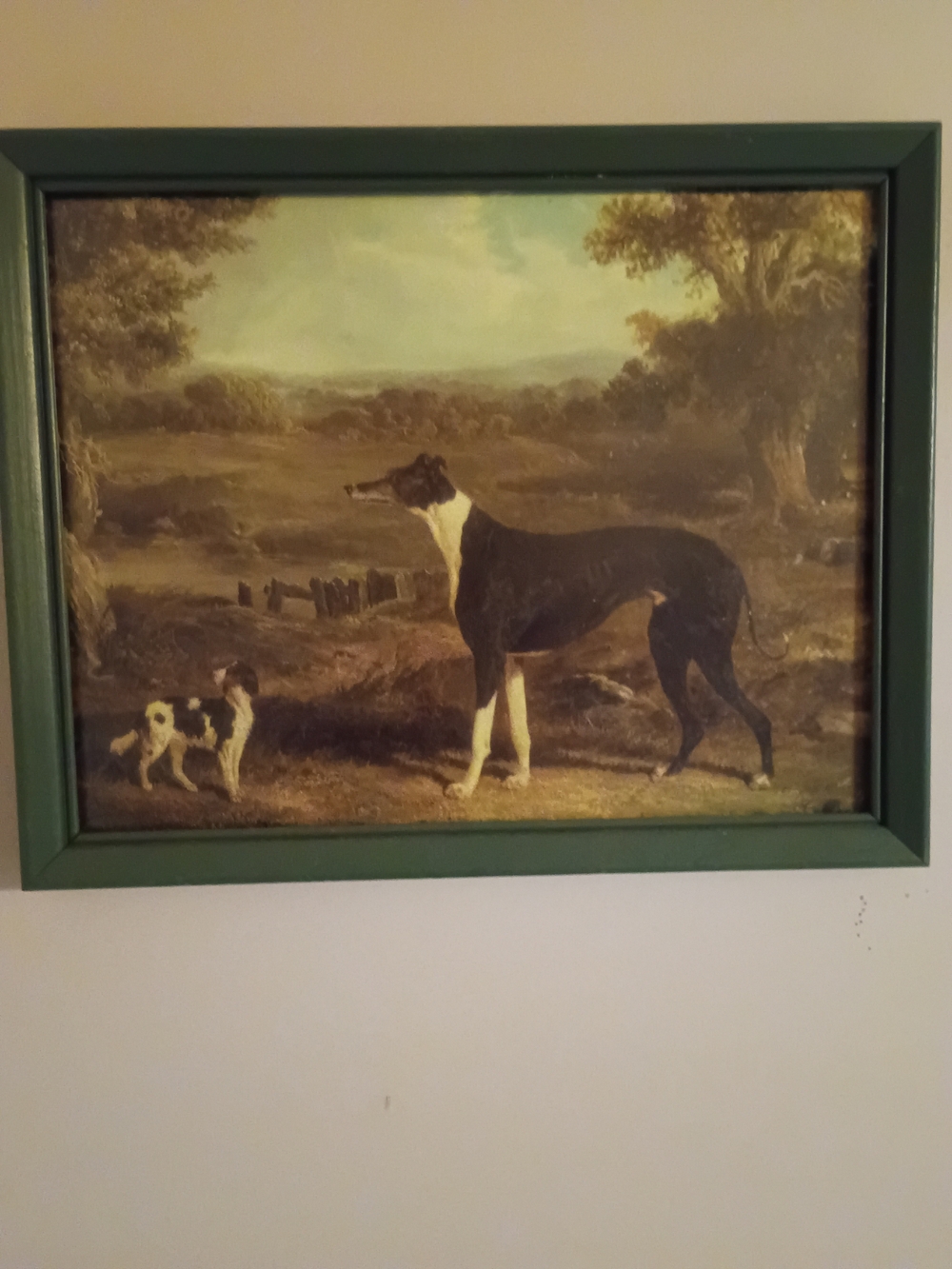 Greyhound And King Charles Spaniel